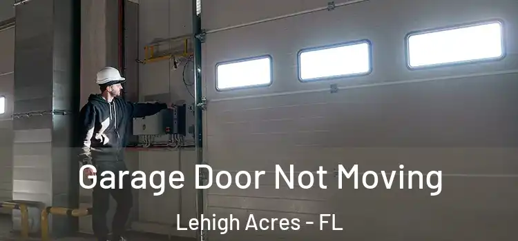  Garage Door Not Moving Lehigh Acres - FL