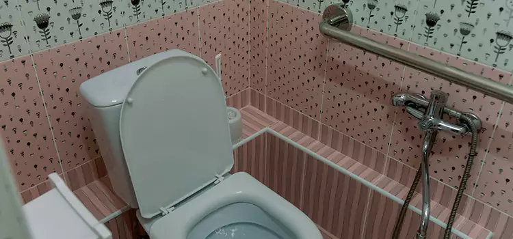 Meeting Diverse Needs With Accessible Restroom Solutions in Lehigh Acres, FL