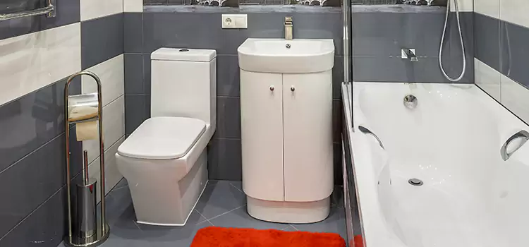 Hansgrohe Shaving Mirror Lehigh Acres